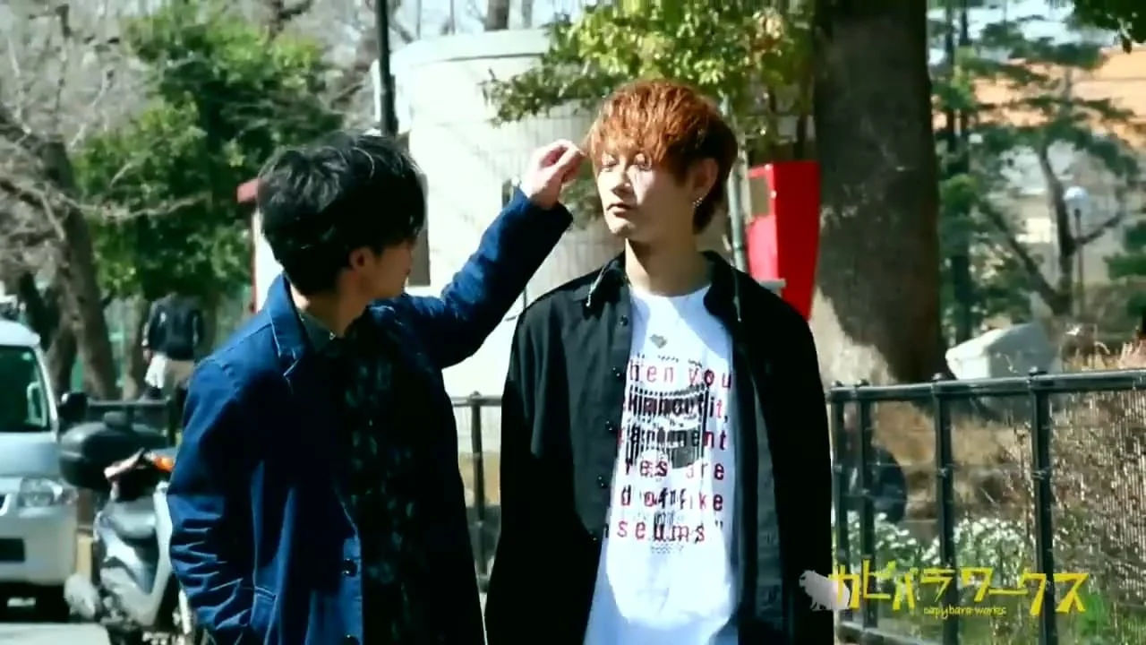CAPY 617 clip2.mp4 snapshot 15.40.000