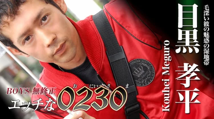 ona0066